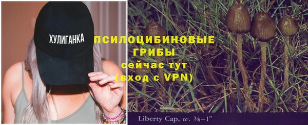 метамфетамин Каменка